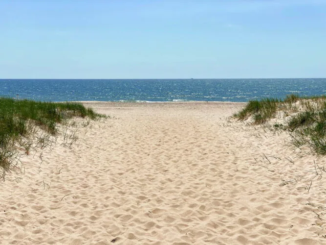 Sandy path leading to the ocean with grass on both sides under a clear blue sky.