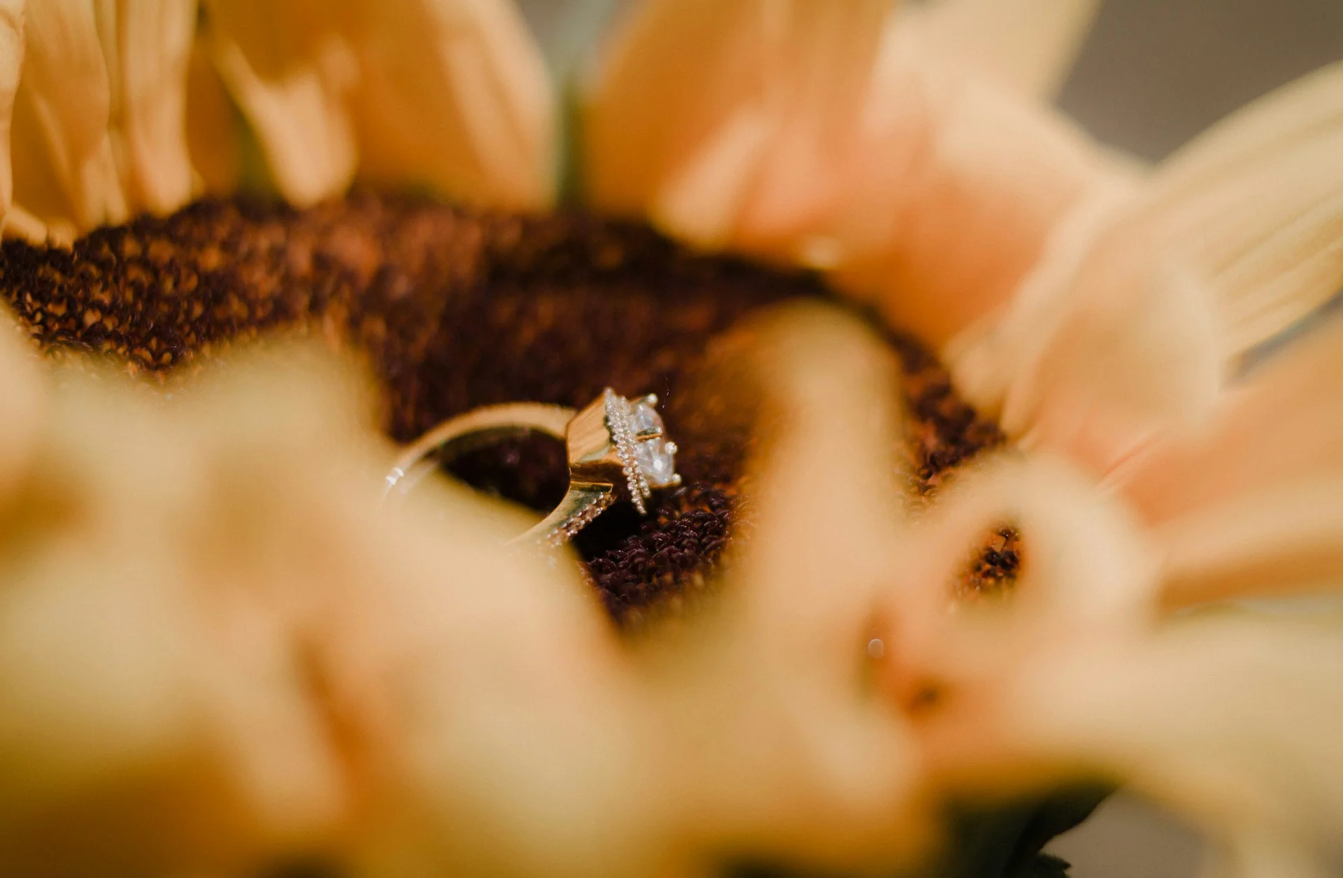 What Happens to Frozen Embryos in a Divorce